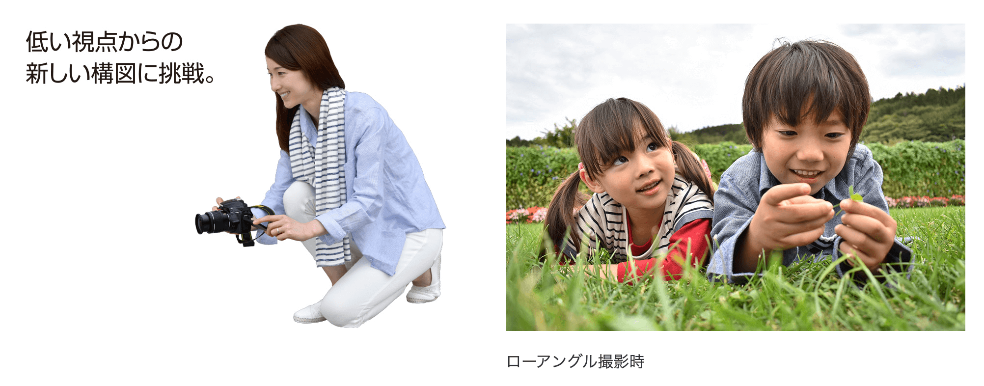 シェアカメブログ]Nikonのエントリーモデル一眼レフ【Nikon D5600】
