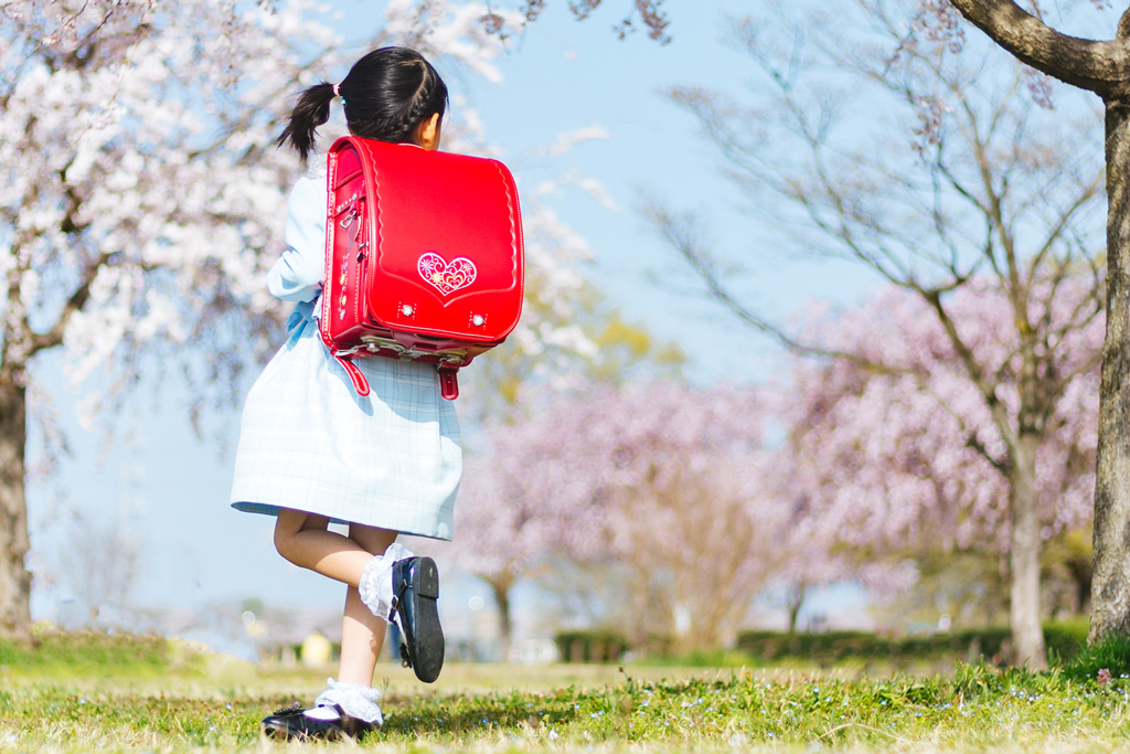 2025年最新版「入学式撮影カメラ」プロがオススメ人気ランキングTOP5