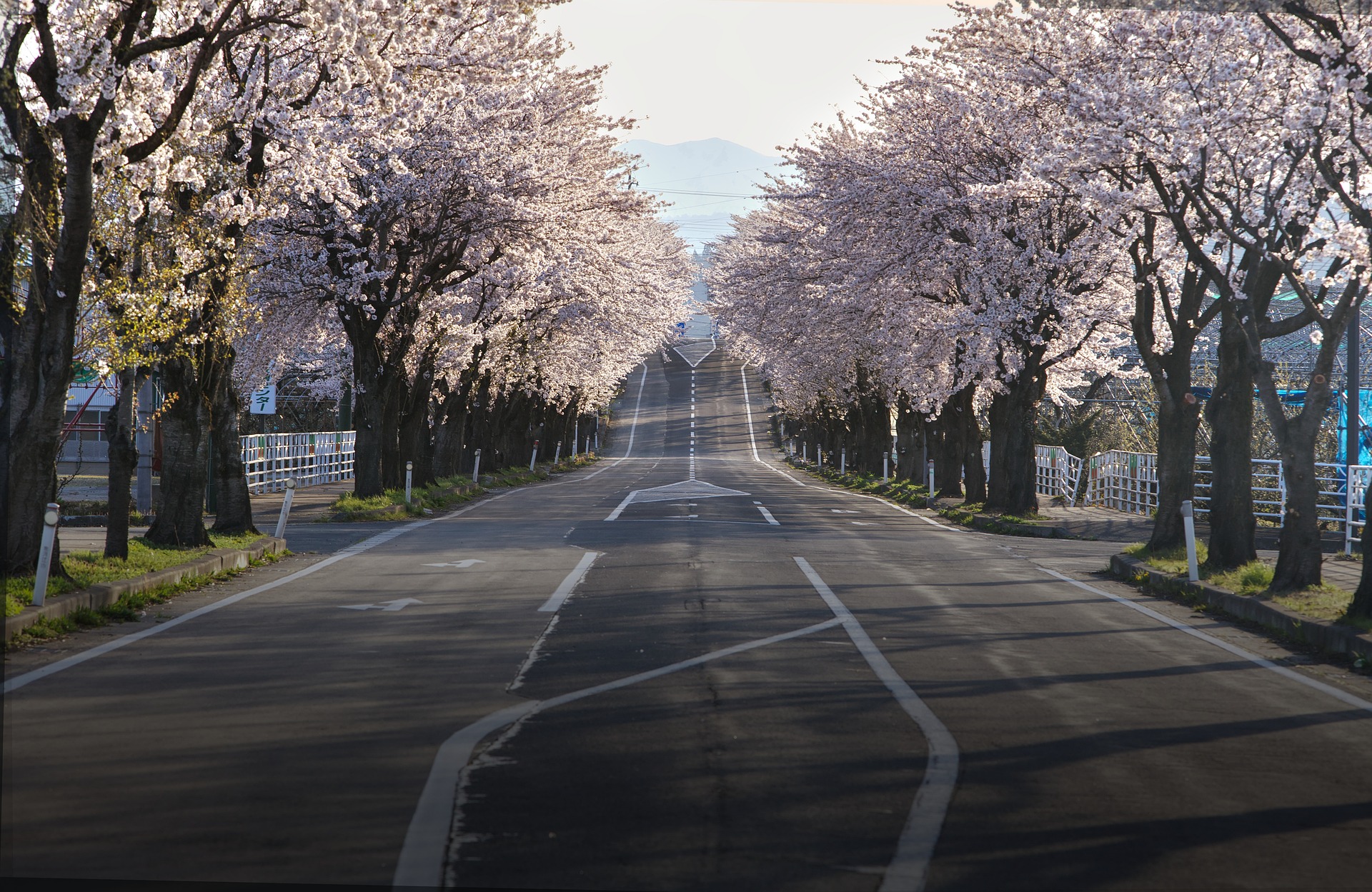 花道