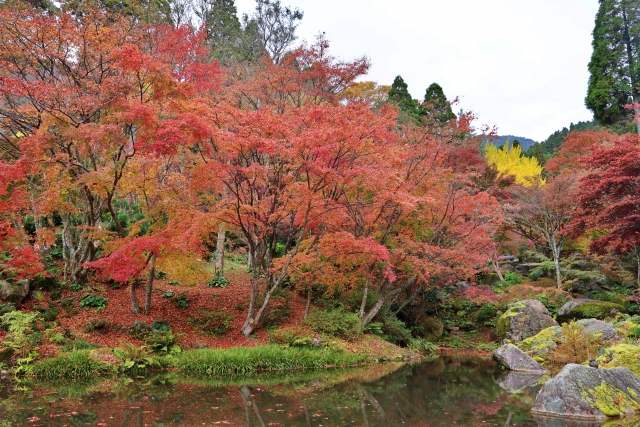 Canon EOS kissM2 レンタル：連休は家族・友達と一緒に紅葉見物旅行で