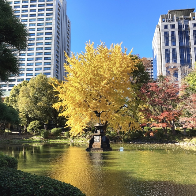 都内でおすすめの紅葉スポット③日比谷公園（千代田区）