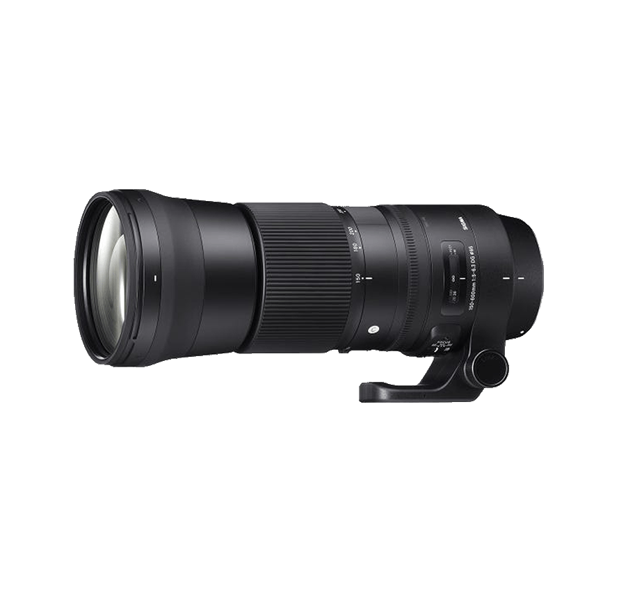 Nikon D5600 SIGMA 150-600mm F5-6.3 DG OS HSM レンズセット｜一眼レフカメラ 超望遠ズームレンズ レンタル 運動会 野鳥 飛行機 撮影
