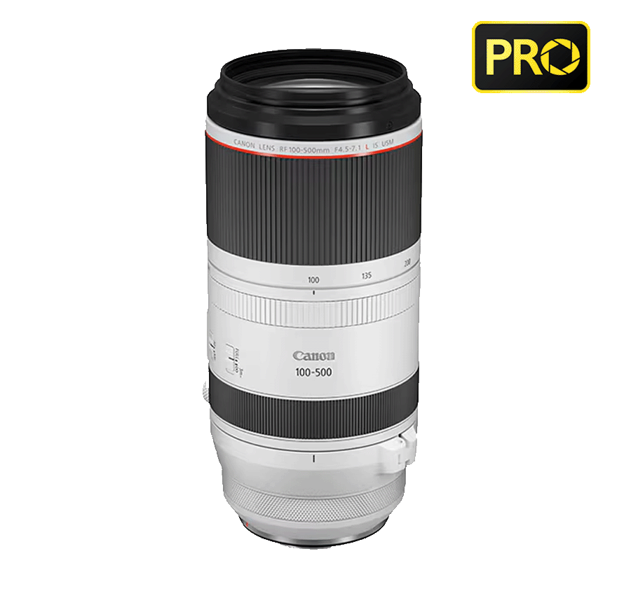 キャノン CANON RF100-500mm F4.5-7.1 L IS USM 超望遠ズームレンズ | [レンズレンタル]