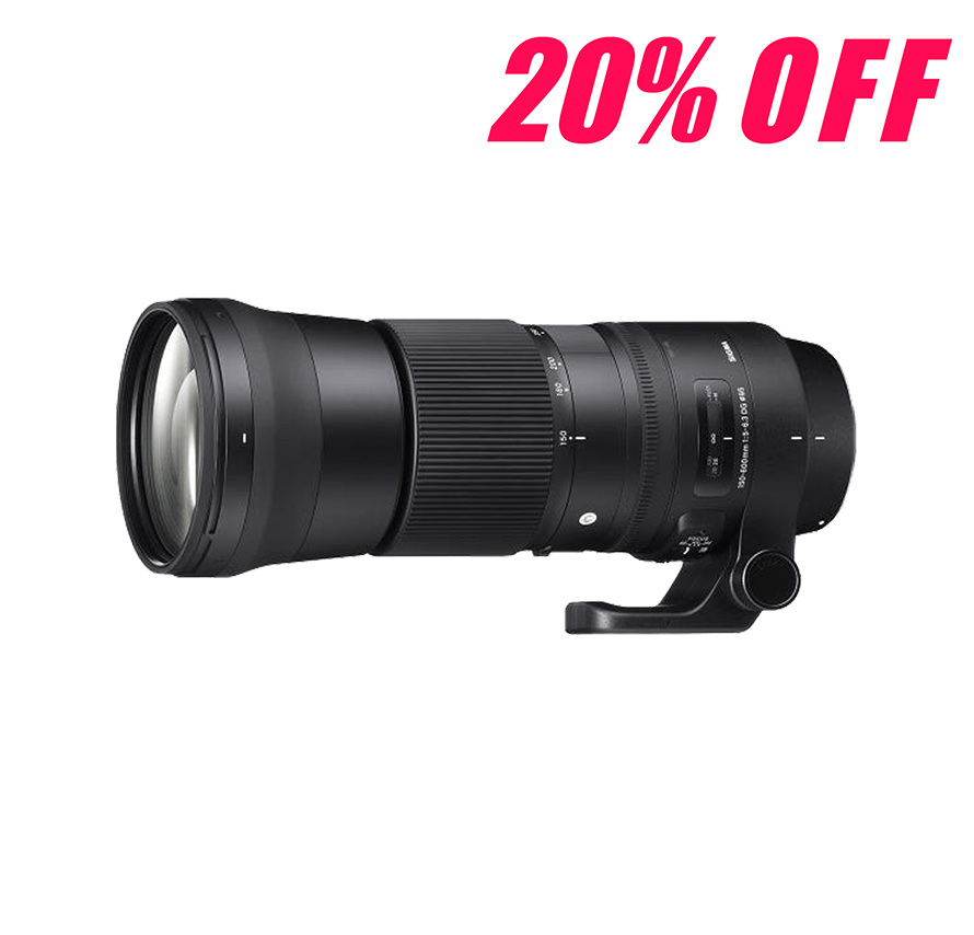 SIGMA◆レンズ : シグマ(Sigma) レンズ 24-70mm F2.8 DG OS HSM Nikon